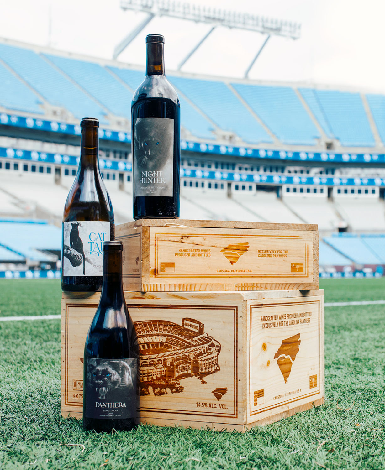 carolina panthers fan box